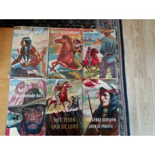 Sybe van der Galiën-Eenzame wolf serie/6 delen/compl. 19,99