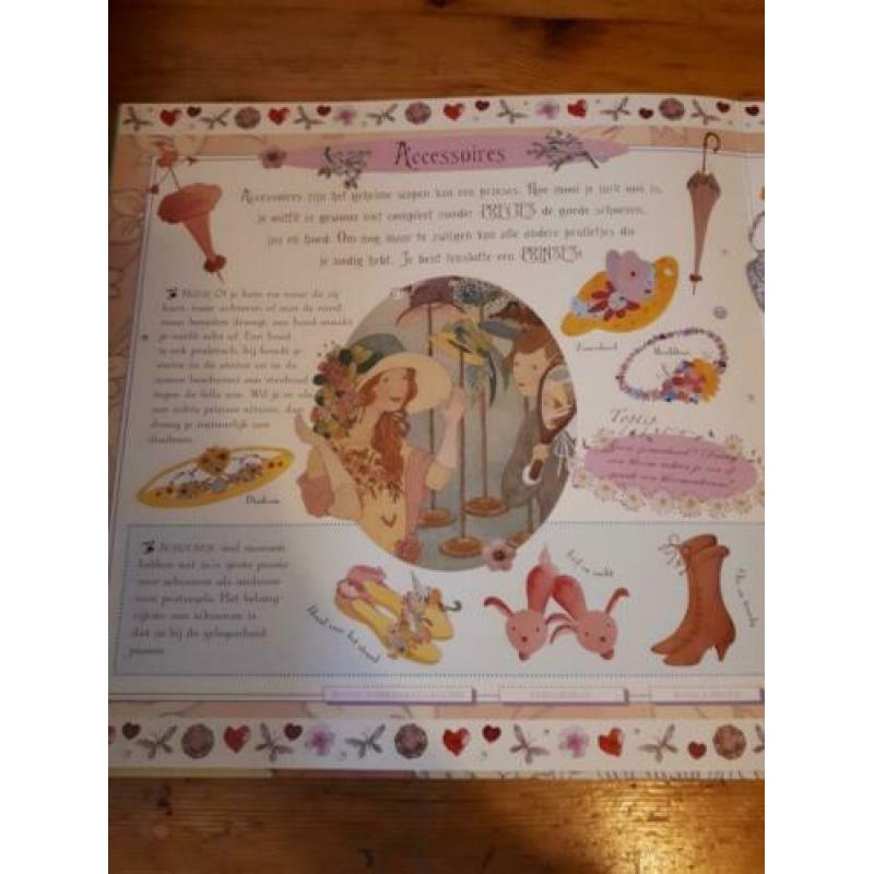 Het prinsessen handboek