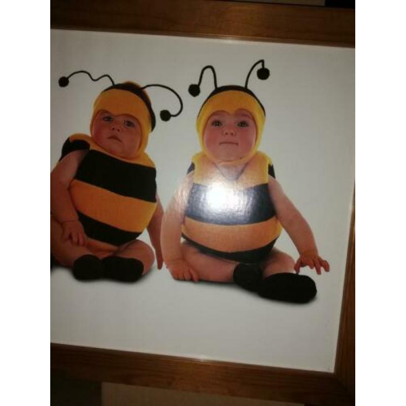 Anne geddes bumble bees 7 bijen poster
