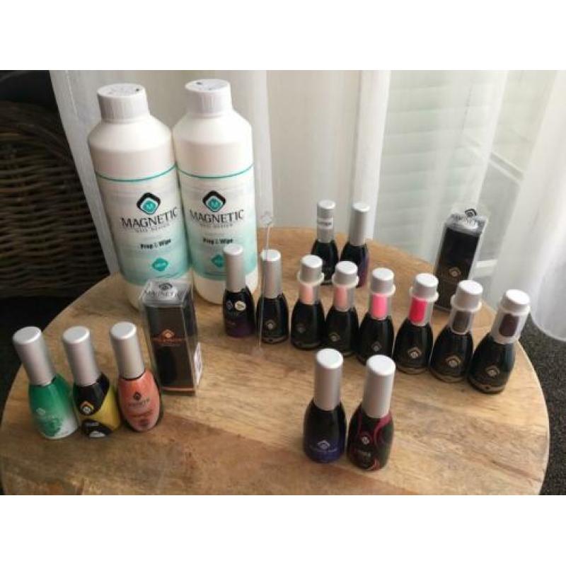 Magnetic gelpolish complete set