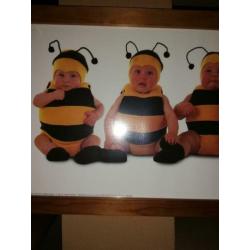 Anne geddes bumble bees 7 bijen poster