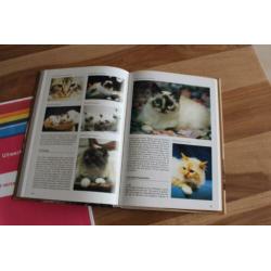 Nti cursus verzorging van je kat + encyclopedie