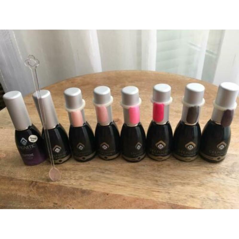 Magnetic gelpolish complete set