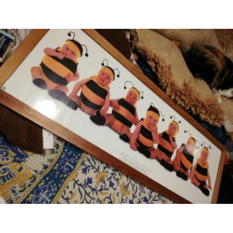 Anne geddes bumble bees 7 bijen poster