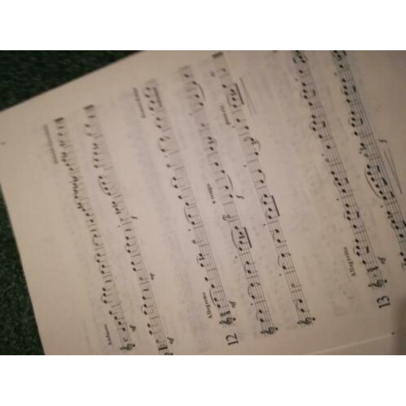 Ausgewahlte Etuden fur Flote deel 1