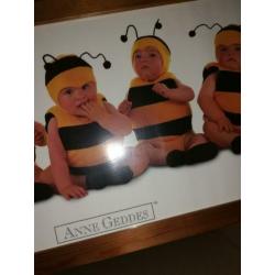 Anne geddes bumble bees 7 bijen poster