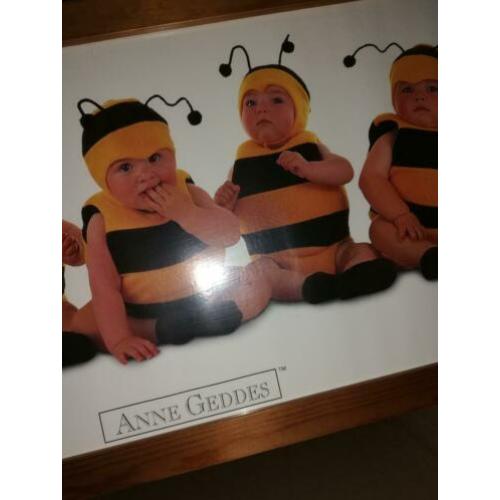 Anne geddes bumble bees 7 bijen poster