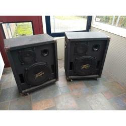 Peavey 315E PA speakers met statieven plus 410 Column PA