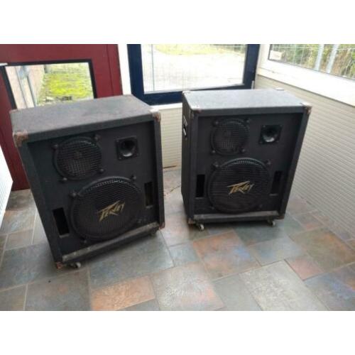 Peavey 315E PA speakers met statieven plus 410 Column PA