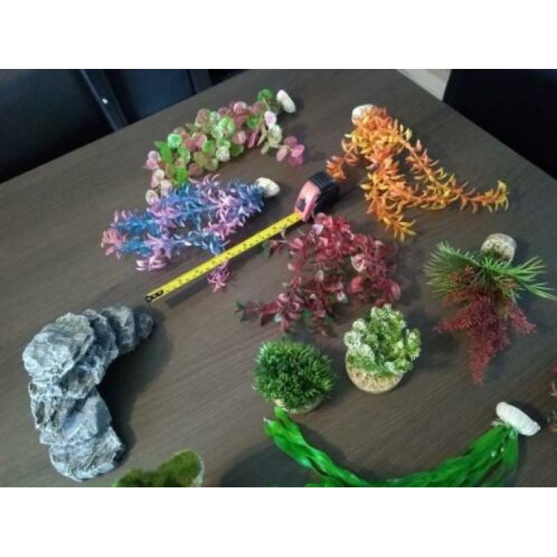 Aquarium decoratie