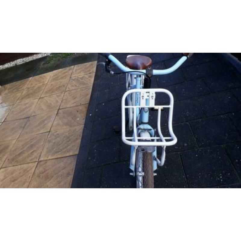 alpina club 20 inch