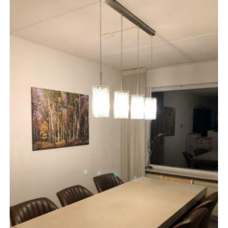 Te koop: mooie verlichting voor boven de eetkamer tafel!