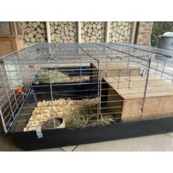 2 dwergkonijnen te koop + kooi en toebehoren!
