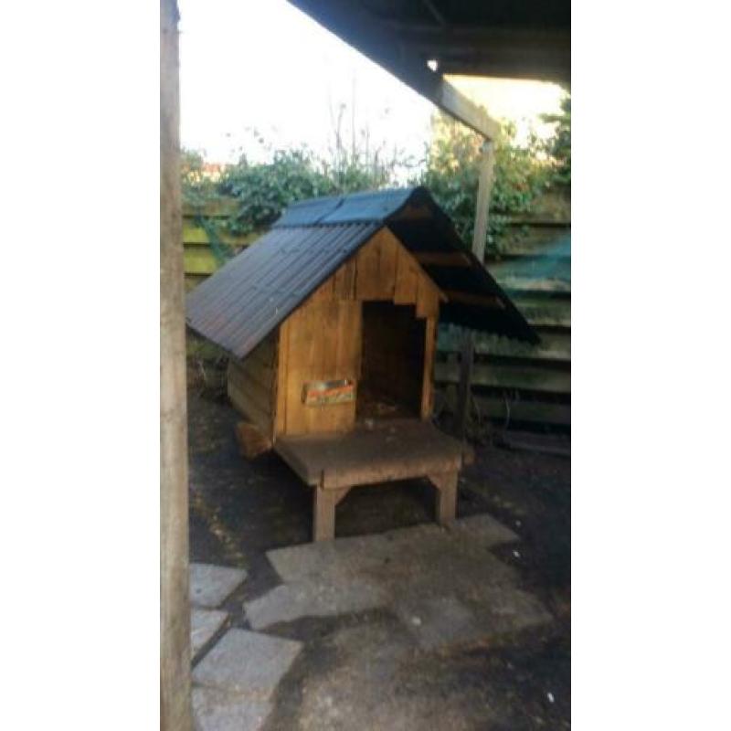 Te koop geiten hok