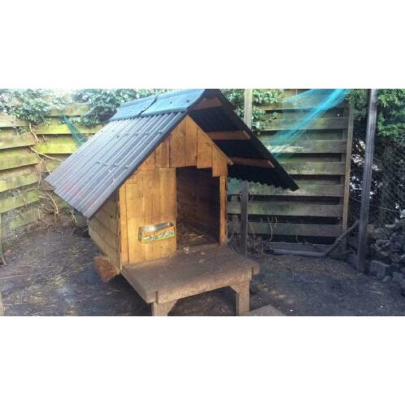Te koop geiten hok