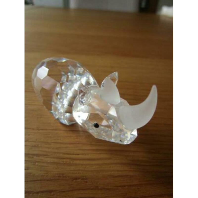 Te koop van Swarovski de Neushoorn groot