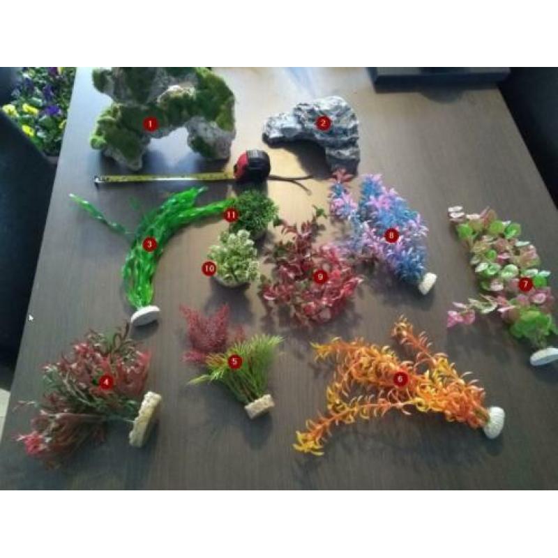 Aquarium decoratie
