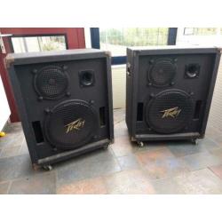 Peavey 315E PA speakers met statieven plus 410 Column PA