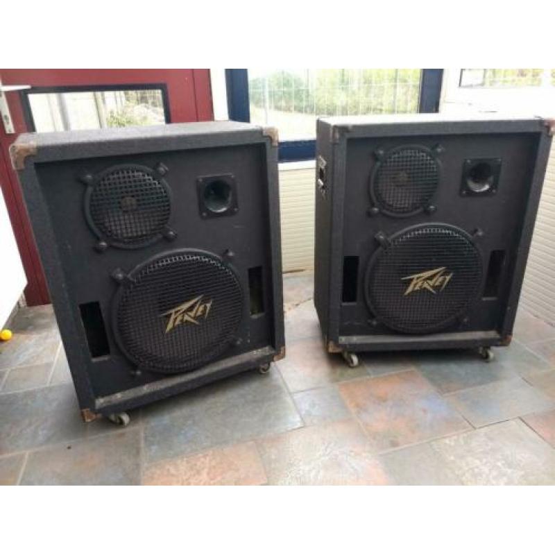 Peavey 315E PA speakers met statieven plus 410 Column PA