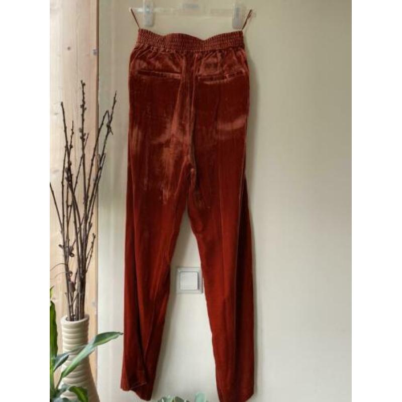 Second Female Velvet Velour trousers elastic waist M new