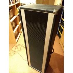 Peavey 315E PA speakers met statieven plus 410 Column PA
