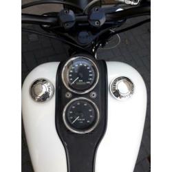 Harley-Davidson Sportster 1200