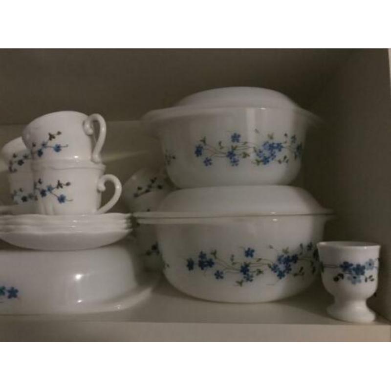 Arcopal Veronica servies assortiment