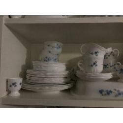 Arcopal Veronica servies assortiment