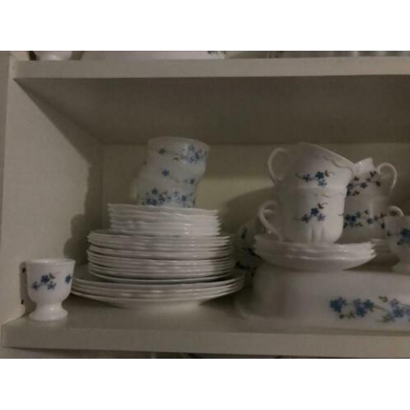 Arcopal Veronica servies assortiment