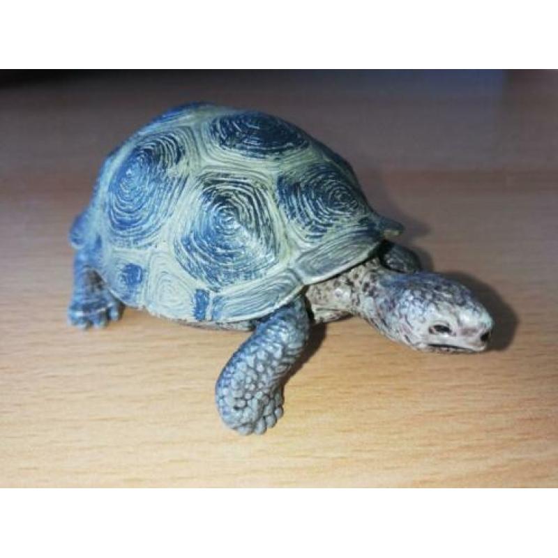 Schleich schildpad