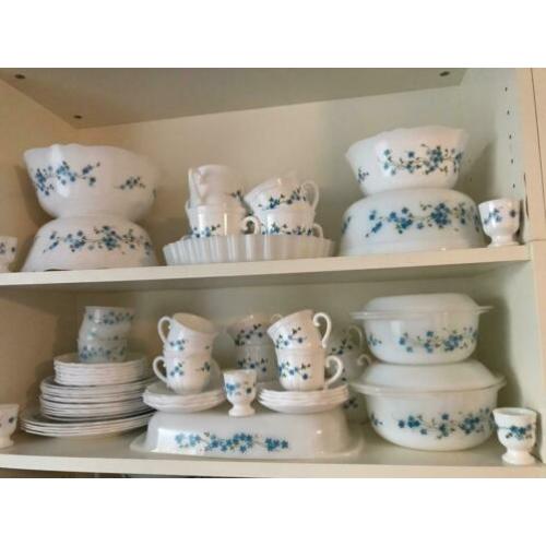 Arcopal Veronica servies assortiment
