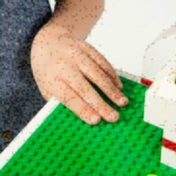 Lego ® Room2Build Speelgoedkist - Gratis Verzending