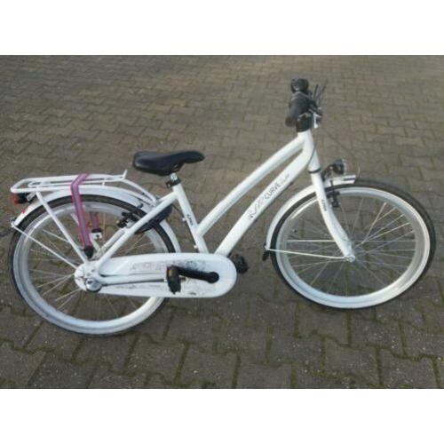 Mooie trendy Alpina Curve maat 24 inch