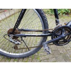Raleigh Max Ogre Mountainbike