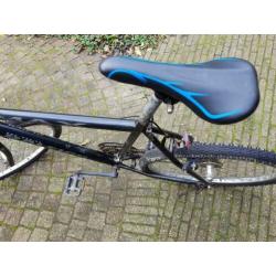 Raleigh Max Ogre Mountainbike