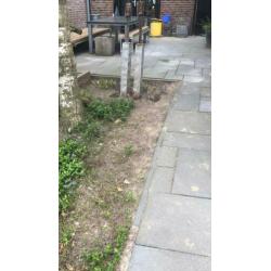 Wildverband betontegels ca. 50m2 t.e.a.b