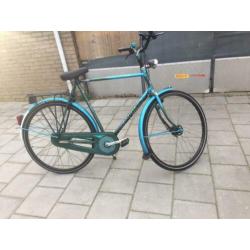 gazelle