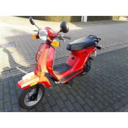 Te koop: derbi ds 50