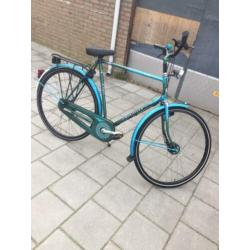 gazelle