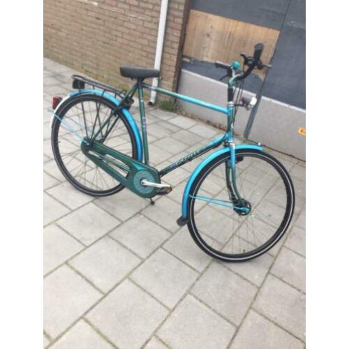 gazelle