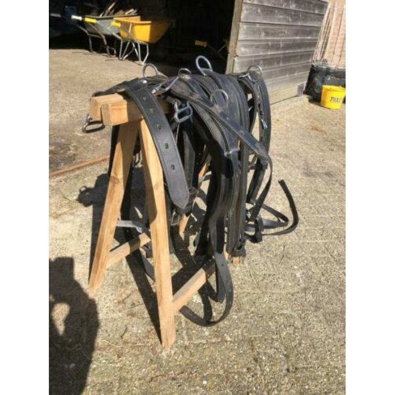 Tuig pony