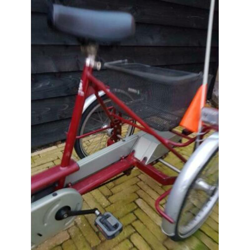 Van Raam duo fiets