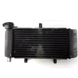 CBR250R 2011 - 2013 Honda Radiator Oliekoeler D1-29583