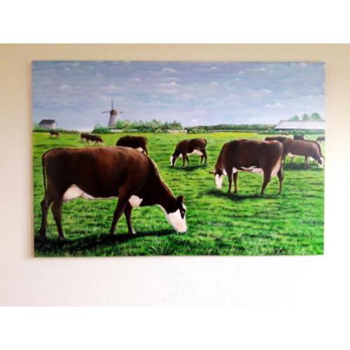 Groot schilderij Koeien / koe , nieuw