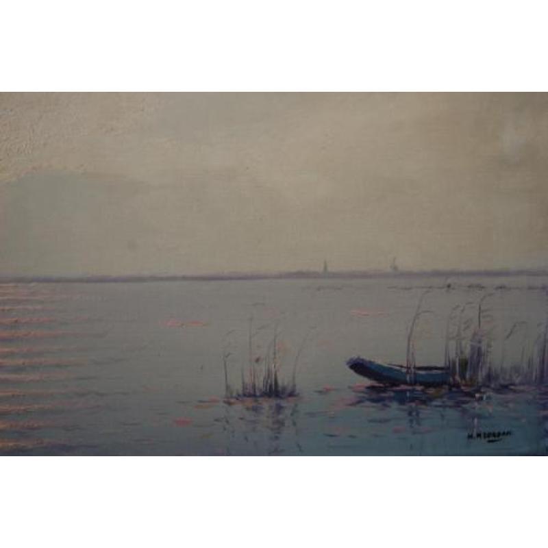 H. NOORDAM | Plasgezicht met boot in het riet