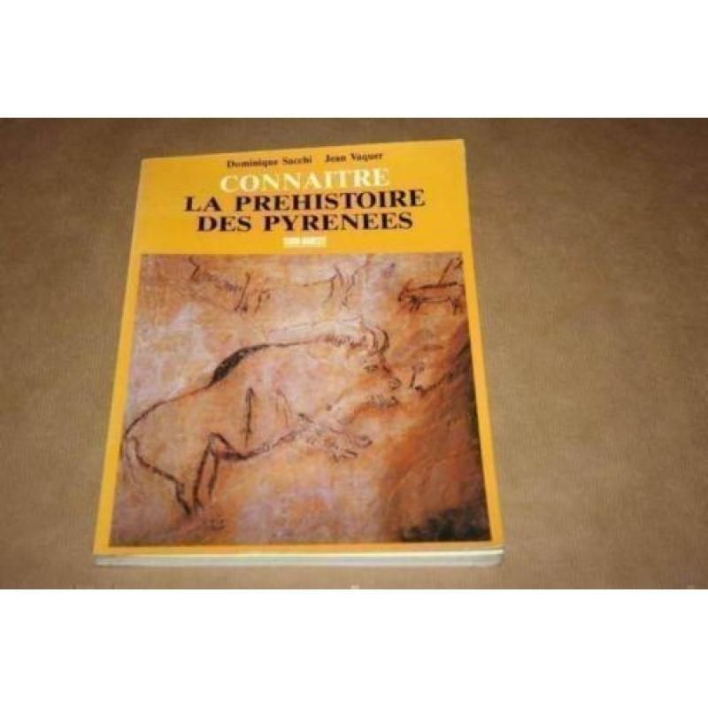 Boek over prehistorische vondsten / grotten v/d Pyreneeën !!