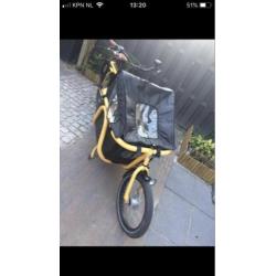 Bakfiets Johnny Loco Cargo yellow cab