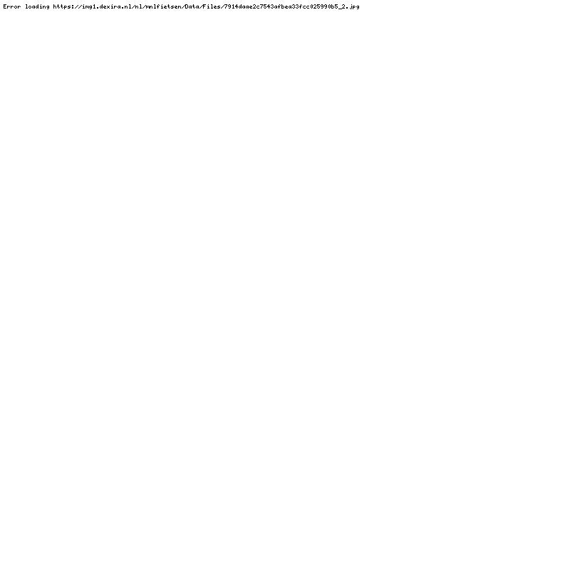 Bakfiets Cargo long van Bakfiets NL