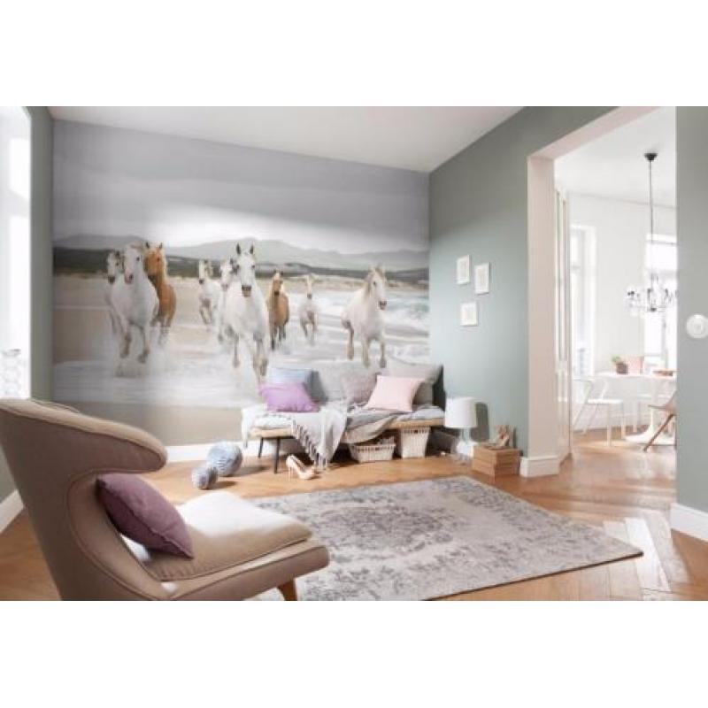 Witte Paarden Fotobehang Paarden behang Gratis verzending