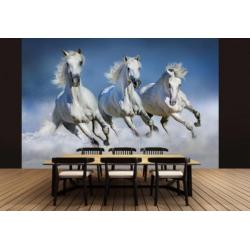 Witte Paarden Fotobehang Paarden behang Gratis verzending